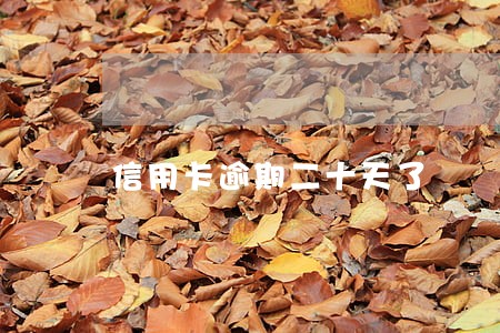 信用卡逾期二十天了