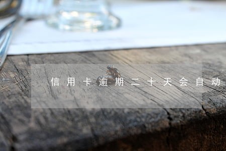 信用卡逾期二十天会自动扣款吗