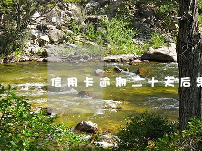 信用卡逾期二十天后果 信用卡逾期二十天后果