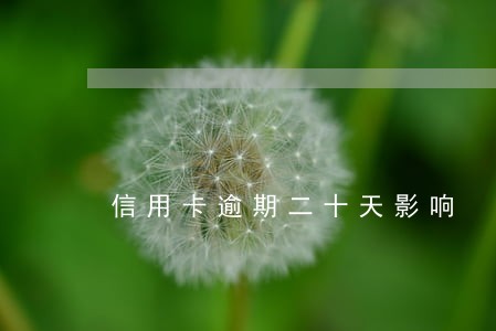 信用卡逾期二十天影响 信用卡逾期二十天影响