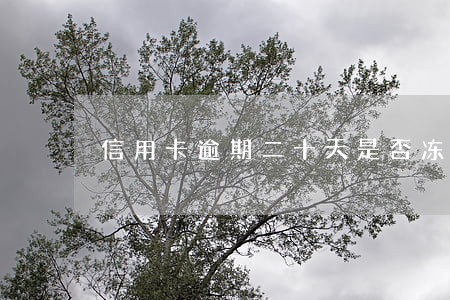 信用卡逾期二十天是否冻结了 信用卡逾期二十天是否冻结了