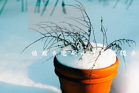 信用卡逾期二十天被锁卡 信用卡逾期二十天被锁卡