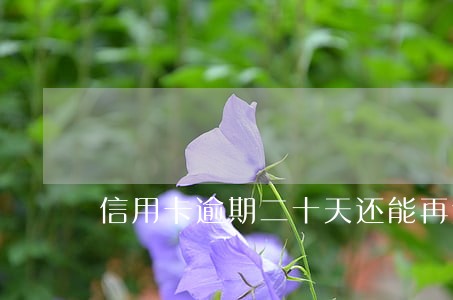 信用卡逾期二十天还能再还吗