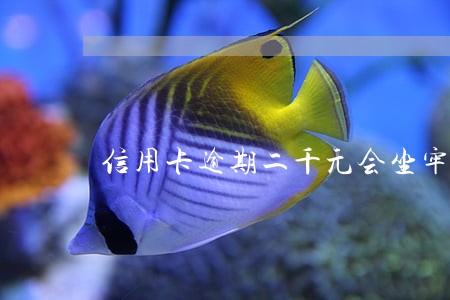 信用卡逾期二千元会坐牢吗 信用卡逾期二千元会坐牢吗