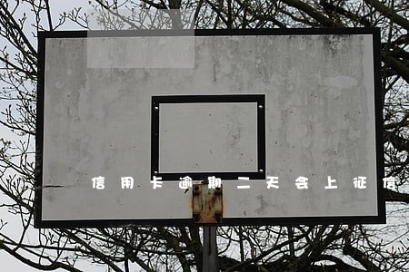 信用卡逾期二天会上征信嘛 信用卡逾期二天会上征信嘛