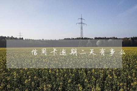 信用卡逾期二天有事么 信用卡逾期二天有事么
