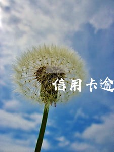 信用卡逾期二天连续几次了 信用卡逾期二天连续几次了