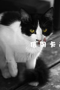 信用卡逾期二年不涨利息 信用卡逾期二年不涨利息