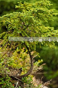 信用卡逾期二年了会上门吗 信用卡逾期二年了会上门吗