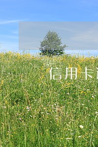 信用卡逾期二年了能不能贷款 信用卡逾期二年了能不能贷款
