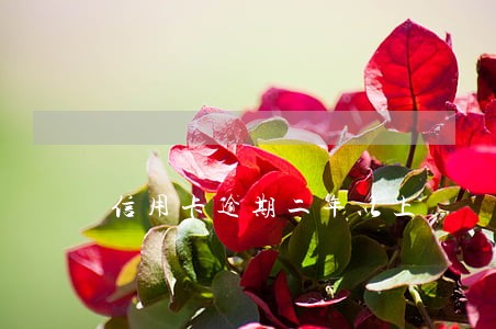 信用卡逾期二年以上 信用卡逾期二年以上