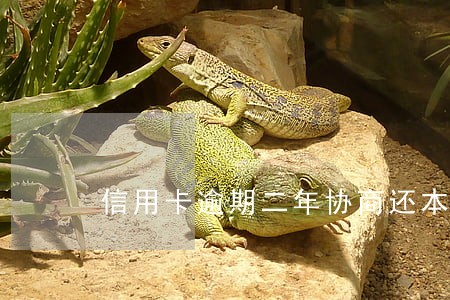信用卡逾期二年协商还本金 信用卡逾期二年协商还本金