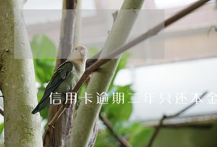 信用卡逾期二年只还本金行吗 信用卡逾期二年只还本金行吗