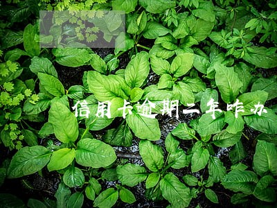 信用卡逾期二年咋办 信用卡逾期二年咋办