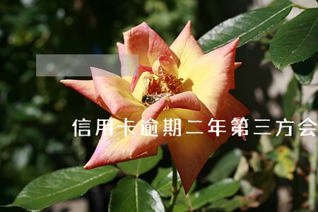 信用卡逾期二年第三方会上门吗