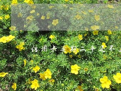 信用卡逾期二年还不上会坐牢吗 信用卡逾期二年还不上会坐牢吗