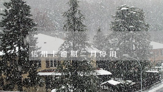 信用卡逾期二月停用 信用卡逾期二月停用