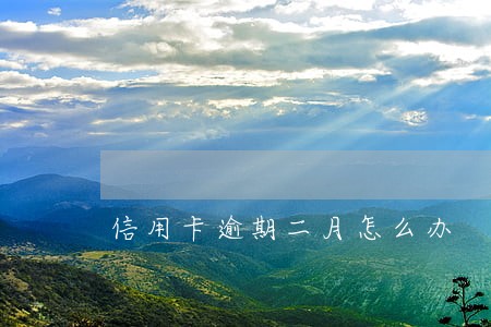信用卡逾期二月怎么办 信用卡逾期二月怎么办
