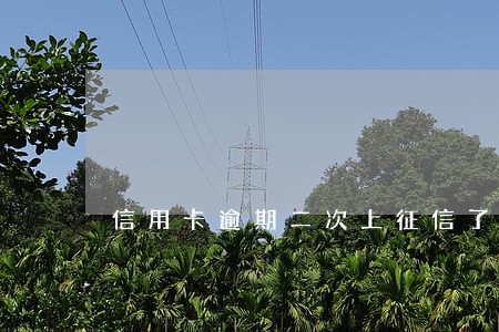 信用卡逾期二次上征信了怎么办