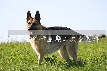 信用卡逾期二次会怎样