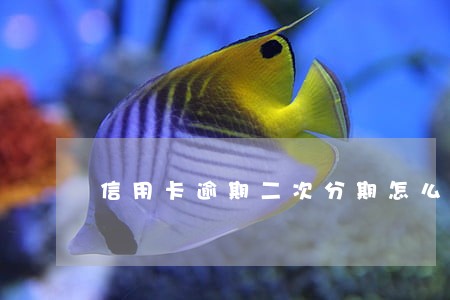 信用卡逾期二次分期怎么办理 信用卡逾期二次分期怎么办理