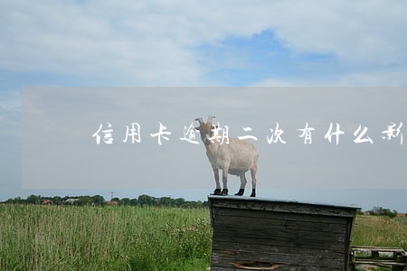 信用卡逾期二次有什么影响大吗 信用卡逾期二次有什么影响大吗