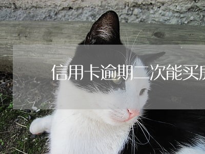 信用卡逾期二次能买房不 信用卡逾期二次能买房不