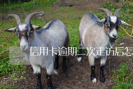信用卡逾期二次走访后怎么处理 信用卡逾期二次走访后怎么处理