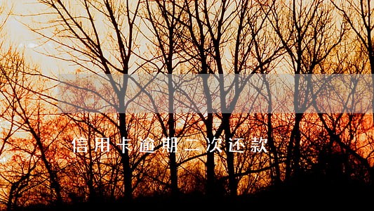 信用卡逾期二次还款
