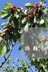 信用卡逾期二类账户会扣款吗