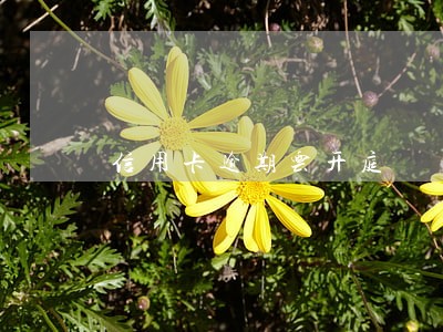 信用卡逾期云开庭 信用卡逾期云开庭