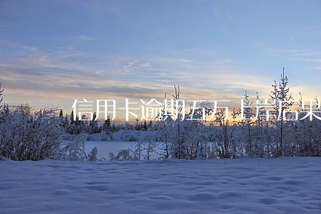 信用卡逾期五万上岸后果 信用卡逾期五万上岸后果