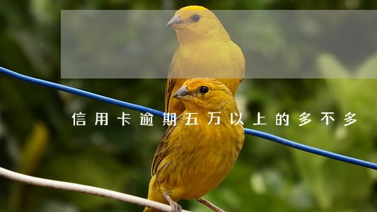 信用卡逾期五万以上的多不多 信用卡逾期五万以上的多不多
