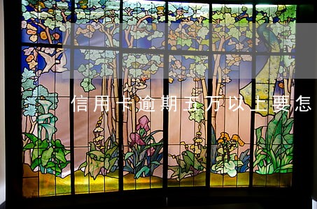 信用卡逾期五万以上要怎么交涉 信用卡逾期五万以上要怎么交涉