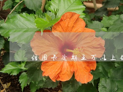 信用卡逾期五万以上银行报案