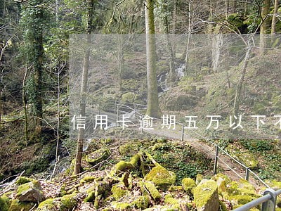 信用卡逾期五万以下不能立案吗 信用卡逾期五万以下不能立案吗