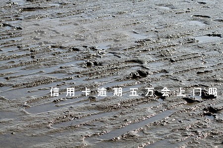 信用卡逾期五万会上门吗 信用卡逾期五万会上门吗