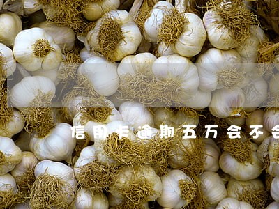 信用卡逾期五万会不会坐牢 信用卡逾期五万会不会坐牢