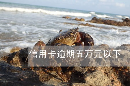 信用卡逾期五万元以下 信用卡逾期五万元以下