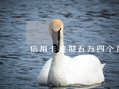 信用卡逾期五万四个月