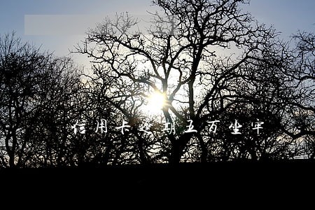 信用卡逾期五万坐牢 信用卡逾期五万坐牢