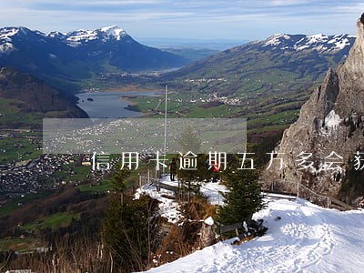 信用卡逾期五万多会获刑吗 信用卡逾期五万多会获刑吗