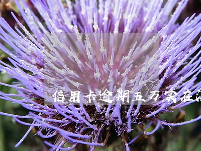 信用卡逾期五万实在没钱还怎么解决 信用卡逾期五万实在没钱还怎么解决