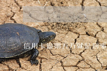 信用卡逾期五万就是刑事吗