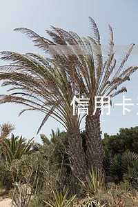 信用卡逾期五万招行 信用卡逾期五万招行