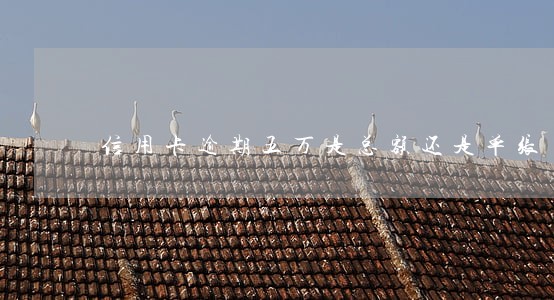 信用卡逾期五万是总额还是单张 信用卡逾期五万是总额还是单张