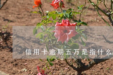 信用卡逾期五万是指什么 信用卡逾期五万是指什么