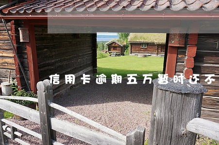 信用卡逾期五万暂时还不上怎么解决