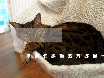 信用卡逾期五万还是一万 信用卡逾期五万还是一万