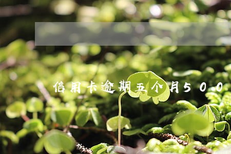 信用卡逾期五个月5000 信用卡逾期五个月5000